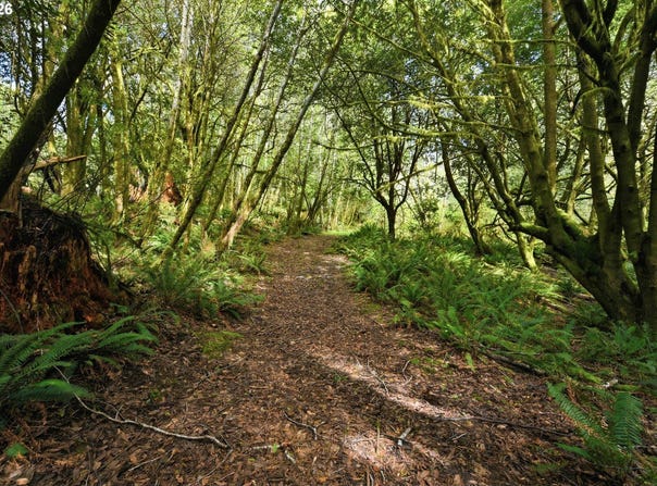 Cougar Rd, Coquille, OR 97423