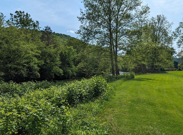 00 ROUTE 220 HIGHWAY, Hughesville, PA 17737