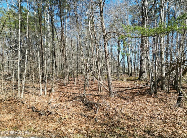 Turner Greenhouse Rd, Crossville, TN 38572