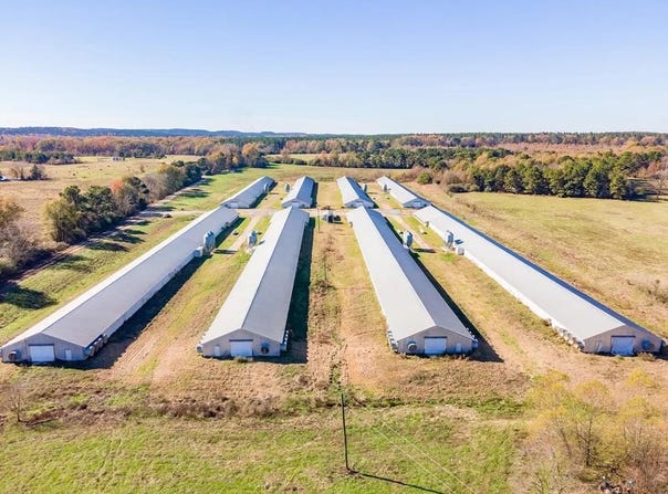 19644 Hwy 87S, San Augustine, TX 75972