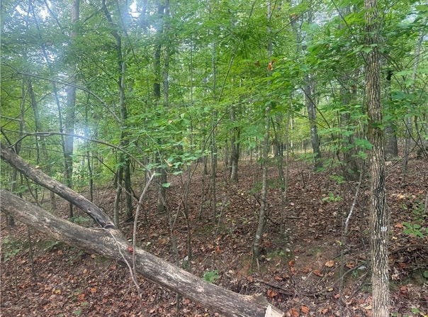 COUNTY ROAD 52, GOODWATER, AL 35072