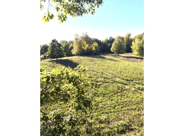 McCain Road, Spring Arbor, MI 49283