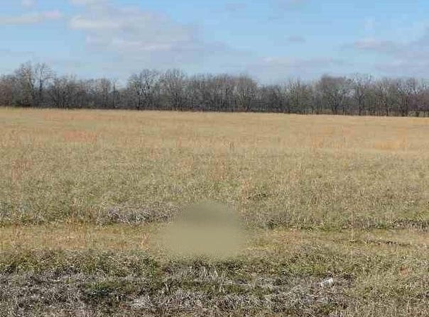 849 Ferren Road, Ledbetter, KY 42058