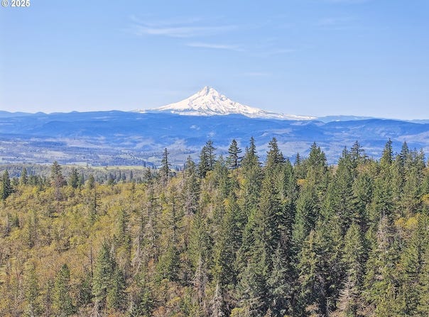 33 Acres off Canyon RD., Lyle, WA 98635