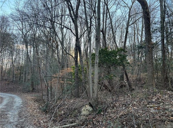 Lynnhaven Road, Mount Airy, NC 27030