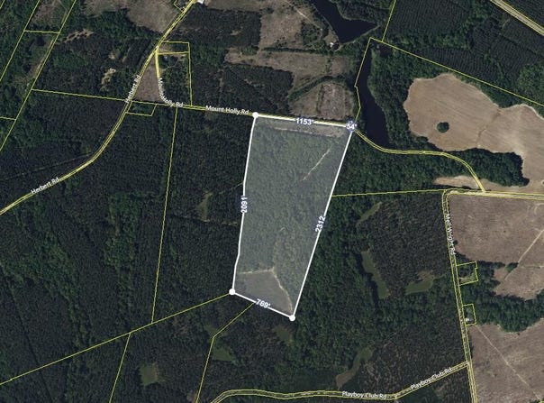 0 Mt Holly Road, Norway, SC 29113