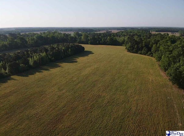 TBD Tobacco Land Road, Dillon, SC 29536