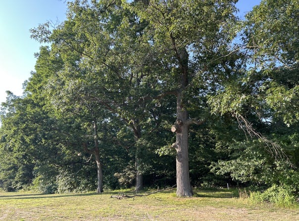 3 Lilac Lane, Grand Beach, MI 49117