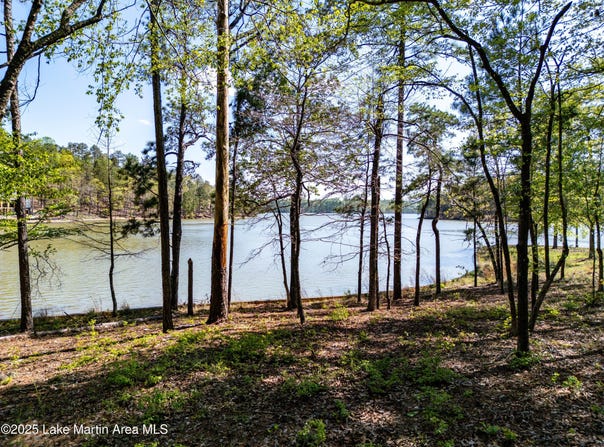 910 Luannes Way, Alexander City, AL 35010