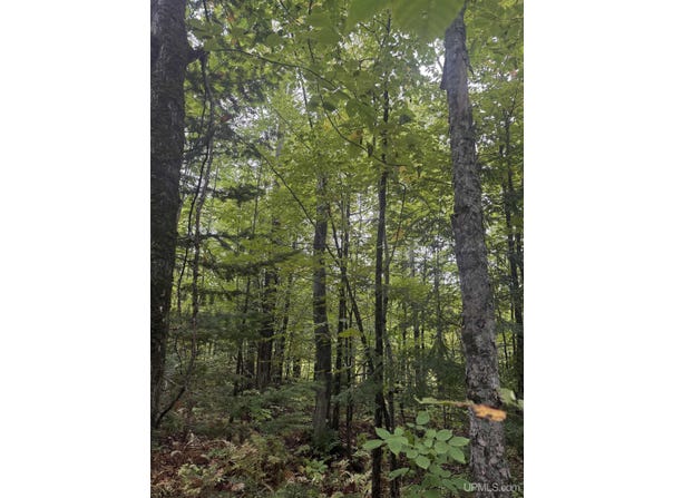 TBD 1-10 Tikka Road, Ontonagon, MI 49953