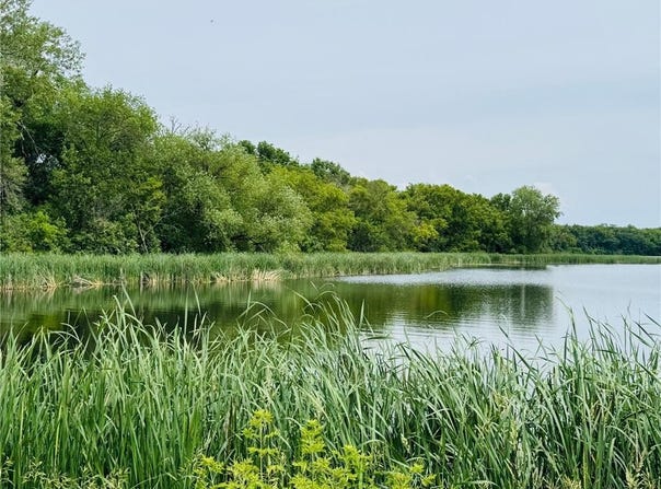 21631 Kandi-Swift Road NW, Norway Lake Twp, MN 56289