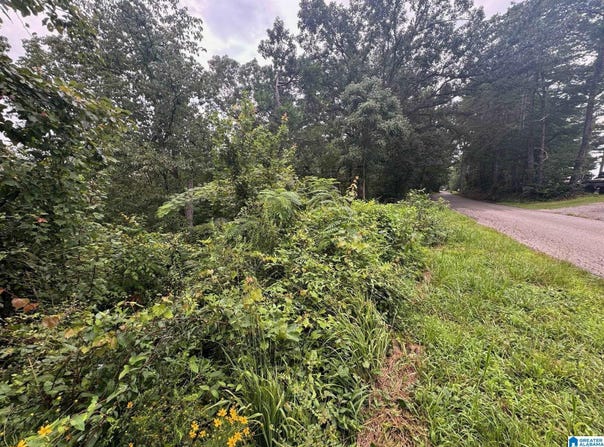 LEVINE ROAD lot: 0, ODENVILLE, AL 35120