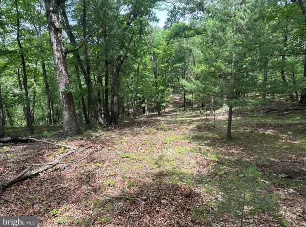 2.23 AC DOE TRAIL, SPRINGFIELD, WV 26763