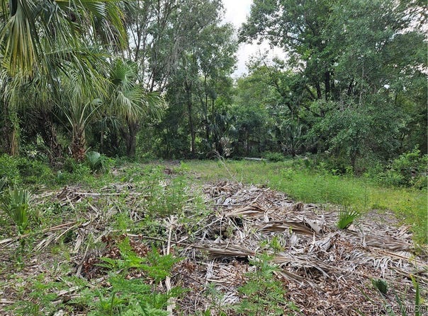 4360 E Nugget Pass Place, Dunnellon, FL 34434