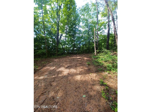 0 Huffaker Dr Off Drive, Strawberry Plains, TN 37871