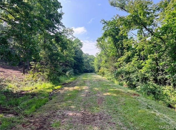 0 Mimeaux Court, Bonne Terre, MO 63628
