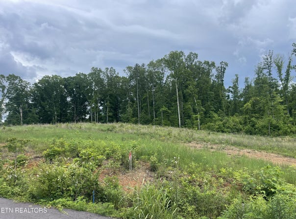 Lot 16 Laura Boling Loop Rd, Strawberry Plains, TN 37871
