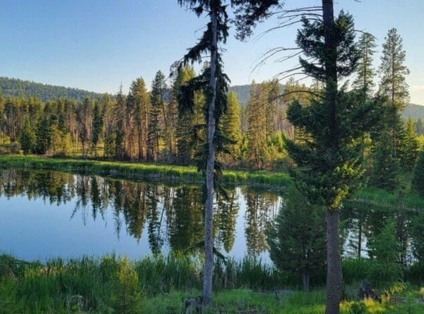 281 Daisy Lane, Seeley Lake, MT 59868