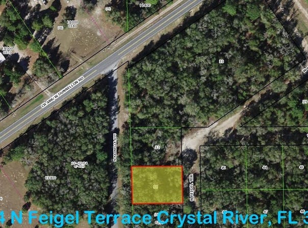 9784 N Feigel Ter, Crystal River, FL 34428