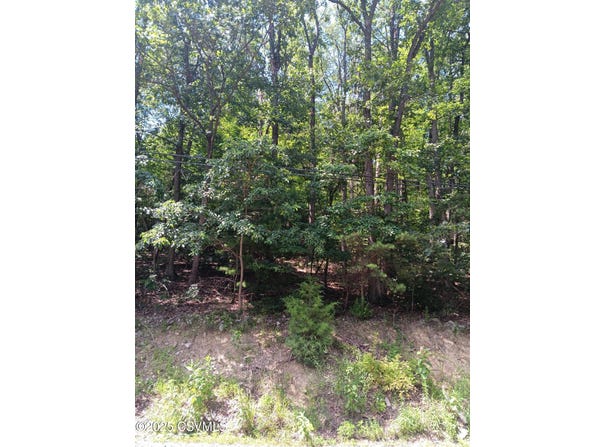 0 HOOFLANDER Road, Herndon, PA 17830