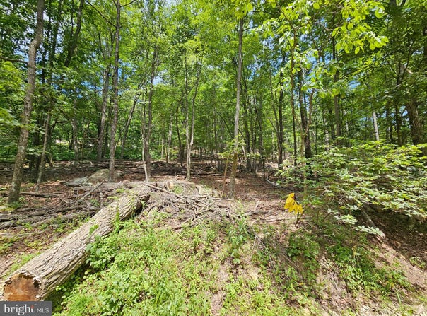 117 ROBERTS ROAD, GREAT CACAPON, WV 25422