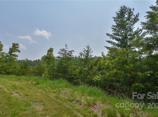 The Vines Boulevard lot: 11, Marshall, NC 28753