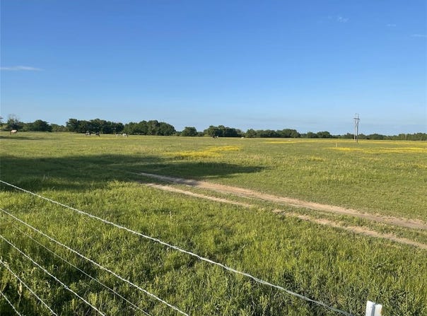 515 N Greenville St., Wolfe City, TX 75496