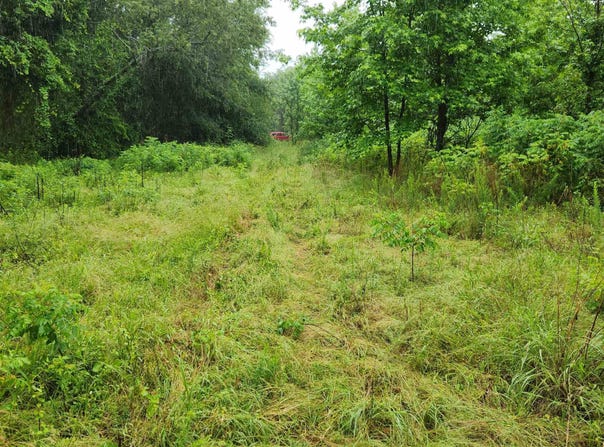 2852 County Road 3411, Clarksville, AR 72830