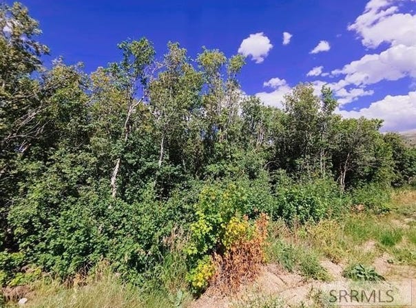 Tbd Monashe Circle, Lava Hot Springs, ID 83246