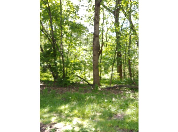 7248 Carriage Hills DR, Roanoke, VA 24018