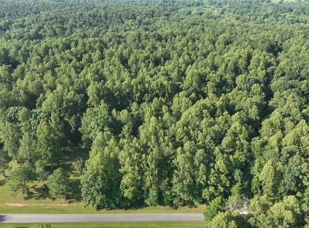 2013  Covington Rd, Crozier, VA 23039