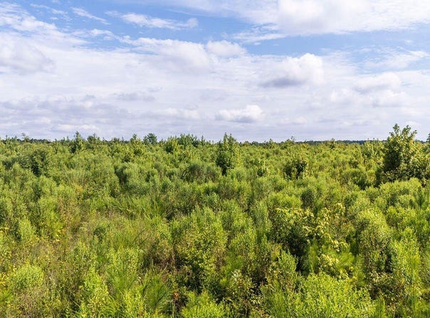 20ac Ouzts, Edgefield, SC 29824