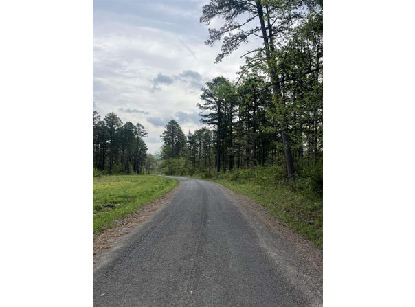 Clinton Lynch Rd Lot#1, Clinton, AR 72013