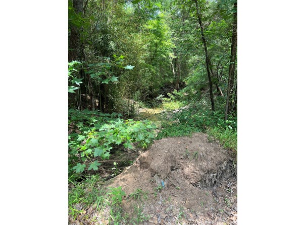 CR 4131, Mount Vernon, TX 75457