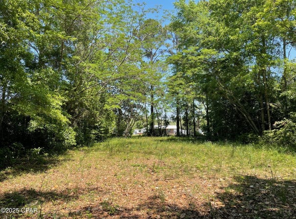 0 Dalton Street, Chipley, FL 32428