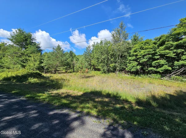 L-16.5 Donlan Heights Road, Broome, NY 12122
