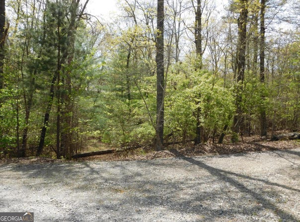 Dallas Lane, Blue Ridge, GA 30513