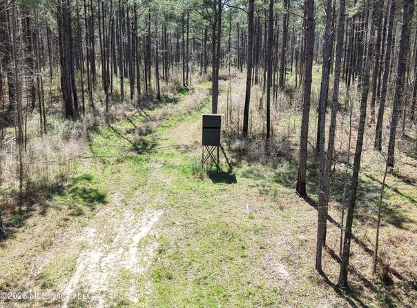 Oldenburg Road, Meadville, MS 39653