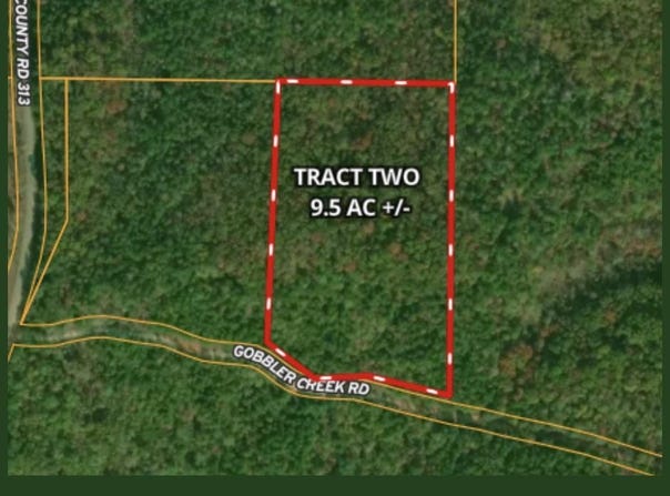 Tract 2 - Gobbler Creek Road, Wedowee, AL 36278
