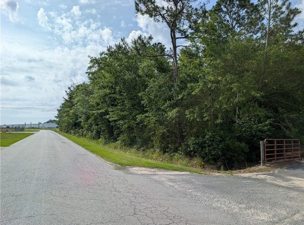 Langdale Drive, Nashville, GA 31639
