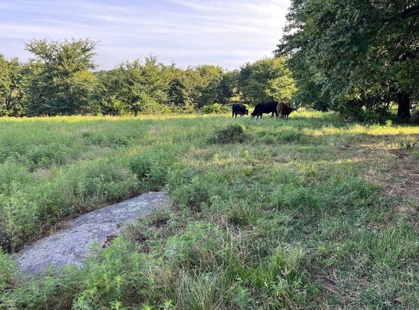 Tract 6 E1252 Road, Whitefield, OK 74462