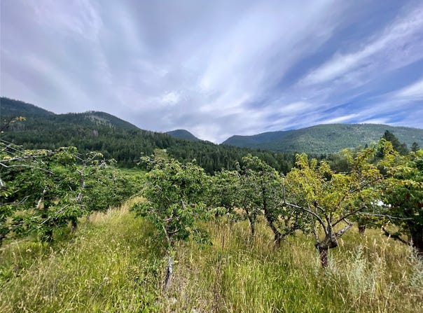 23398 Mt Highway 35, Bigfork, MT 59911
