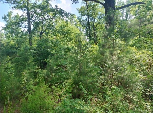00 Hwy 195, Double Springs, AL 35553