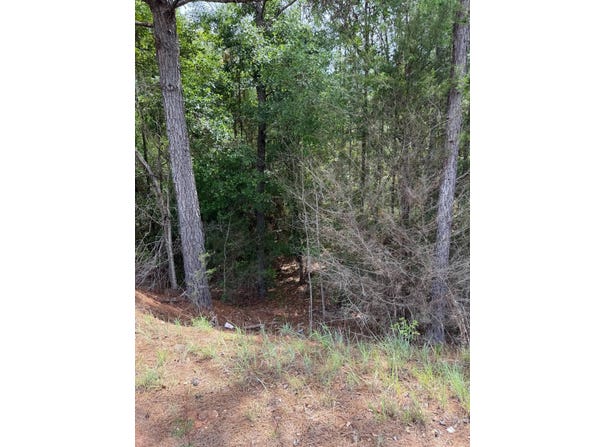 0 Live Oak Rd, Luverne, AL 36049