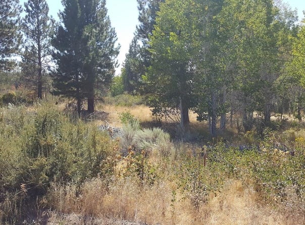 7800 Forest View Drive, Chiloquin, OR 97624
