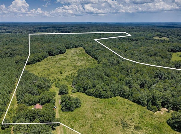 6925 Cobbham Road, Appling, GA 30802
