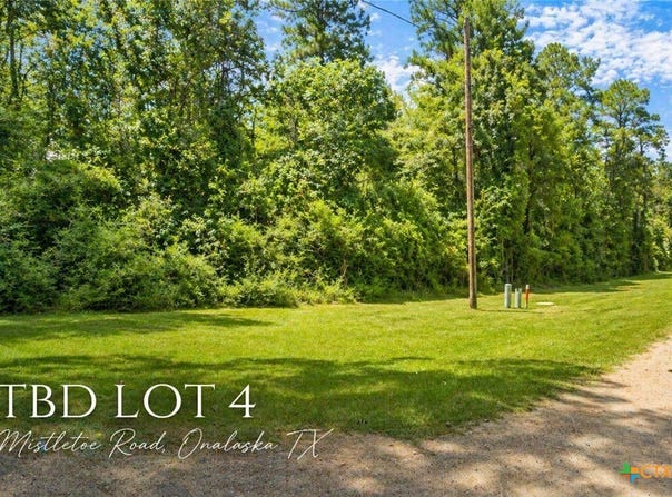 MISTLETOE Street, Onalaska, TX 77360