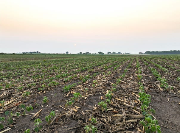 Thomas Avenue, Coggon, IA 52218
