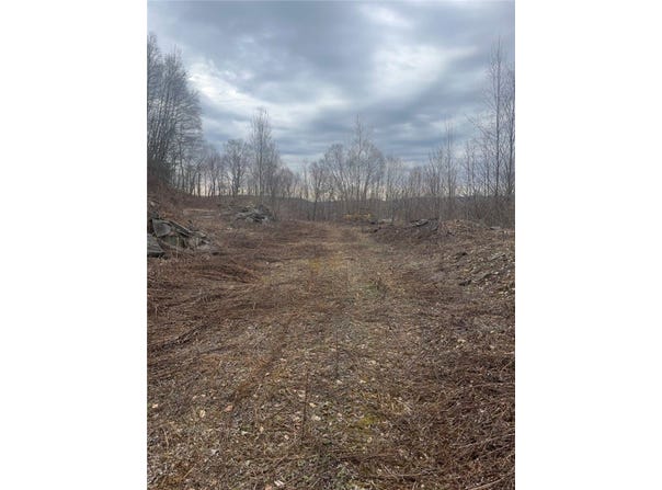 Houck Mountain Road, Walton, NY 13856