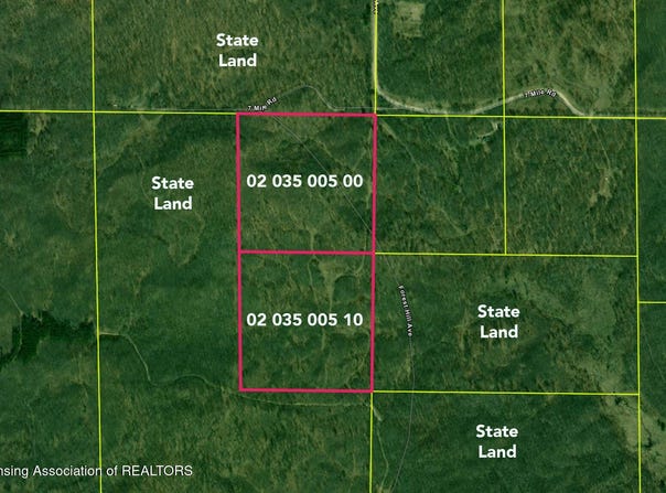 13505 7 Mile Road, Evart, MI 49631